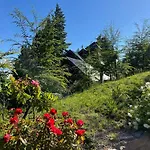 Santa Clara